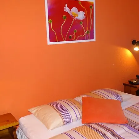 Elvetico 3*